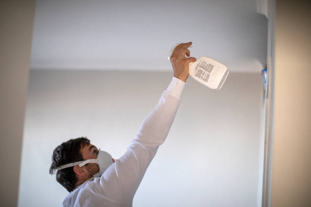 Best Crawl Space Mold Removal  in Coldstream, OH