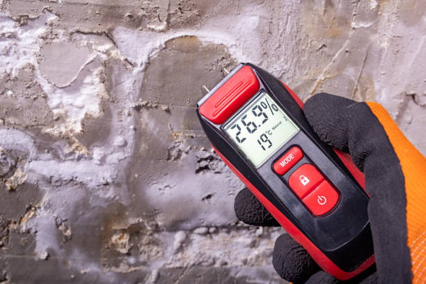 Best Mold Testing  in Coldstream, OH