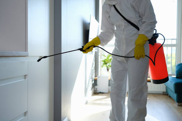 Best Emergency Mold Removal  in Coldstream, OH