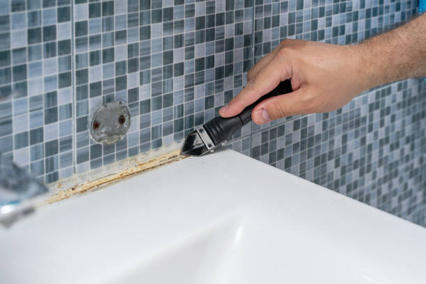 Best Mold Removal Process  in Coldstream, OH